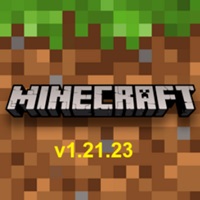 minecraft 1.21.23