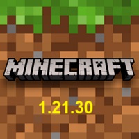 minecraft 1.21.30