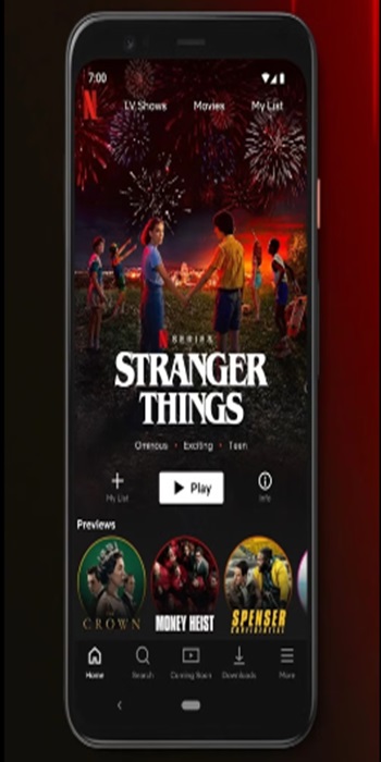 netflix pro apk