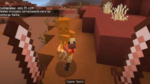 Minecraft 1